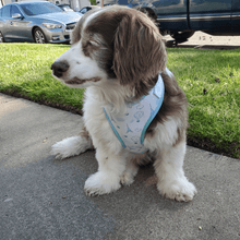 Load image into Gallery viewer, Adjustable Harness - Take Me to Paris - Petponia