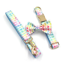 Load image into Gallery viewer, I Woof You Dog Walking Set - Dog Collar, Bow, Leash, Waste Bag Holder - Petponia