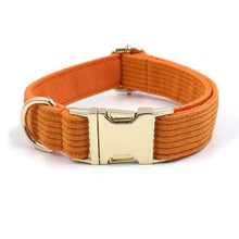 Load image into Gallery viewer, Sunrise Orange Corduroy Set - Dog Collar, Bow, Leash & Waste Bag Holder - Petponia