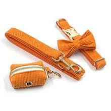 Load image into Gallery viewer, Sunrise Orange Corduroy Set - Dog Collar, Bow, Leash & Waste Bag Holder - Petponia