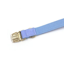 Load image into Gallery viewer, Ocean Blue Corduroy Dog Walking Set - Dog Collar, Bow, Leash & Waste Bag Holder - Petponia