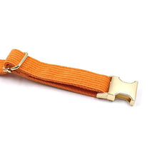 Load image into Gallery viewer, Sunrise Orange Corduroy Set - Dog Collar, Bow, Leash & Waste Bag Holder - Petponia