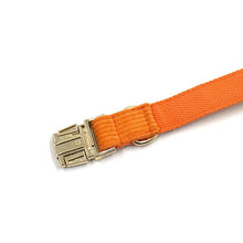 Load image into Gallery viewer, Sunrise Orange Corduroy Dog Collar with a Bow - Petponia
