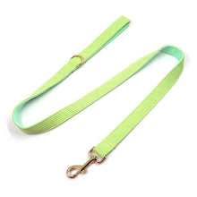 Load image into Gallery viewer, Fresh Lime Green Corduroy Dog Walking Set - Dog Collar, Bow, Leash & Waste Bag Holder - Petponia