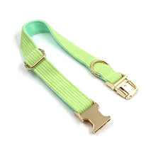 Load image into Gallery viewer, Fresh Lime Green Corduroy Dog Collar with a Bow - Petponia