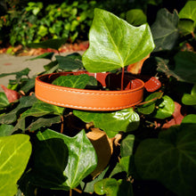 Load image into Gallery viewer, Luxe Vegan Leather Collars - Small / Luxe Orange - Medium / Luxe Orange