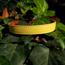 Load image into Gallery viewer, Luxe Vegan Leather Collars - Small / Luxe Yellow - Medium / Luxe Yellow