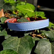 Load image into Gallery viewer, Luxe Vegan Leather Collars - Small / Luxe Blue - Medium / Luxe Blue