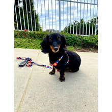 Load image into Gallery viewer, Mighty Dog Harness and Leash Set