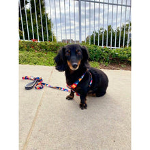 Load image into Gallery viewer, Mighty Dog Harness