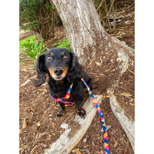 Load image into Gallery viewer, Mighty Dog Harness and Leash Set