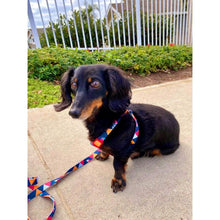 Load image into Gallery viewer, Mighty Dog Harness