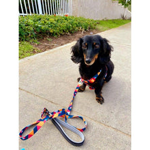 Load image into Gallery viewer, Mighty Dog Harness and Leash Set