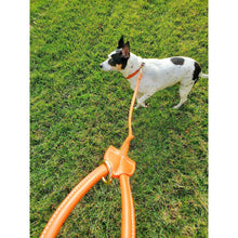 Load image into Gallery viewer, Luxe Vegan Leather Collar and Leash Set