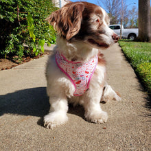 Load image into Gallery viewer, Adjustable Harness - Take Me to Paris - Petponia
