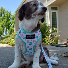 Load image into Gallery viewer, Over The Rainbow Dog Walking Bundle ( Adjustable Harness, Leash & Waste Bag Holder) - Petponia