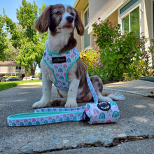 Load image into Gallery viewer, 'Over The Rainbow' Dog Waste Bag Holder - Petponia