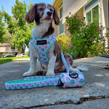 Load image into Gallery viewer, Over The Rainbow - Adjustable Harness - Petponia