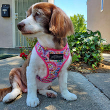 Load image into Gallery viewer, Tie Dye - Adjustable Harness - Petponia