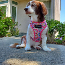 Load image into Gallery viewer, Tie Dye - Adjustable Harness - Petponia