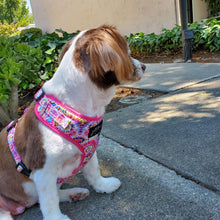 Load image into Gallery viewer, Tie Dye - Adjustable Harness - Petponia