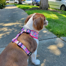 Load image into Gallery viewer, Tie Dye - Adjustable Harness - Petponia