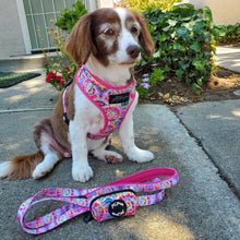 Load image into Gallery viewer, &#39;Tie Dye&#39; Dog Leash - Petponia
