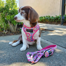 Load image into Gallery viewer, Tie Dye Dog Walking Bundle ( Adjustable dog Harness & dog Leash) - Petponia