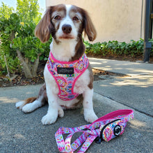 Load image into Gallery viewer, Tie Dye Dog Walking Bundle ( Adjustable dog Harness & dog Leash) - Petponia