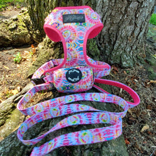 Load image into Gallery viewer, Tie Dye Dog Walking Bundle ( Adjustable dog Harness &amp; dog Leash) - Petponia
