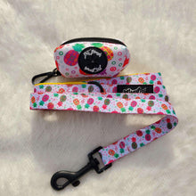 Load image into Gallery viewer, Fine!-Apple Dog Walking Bundle ( Adjustable Harness, Leash & Waste Bag Holder) - Petponia