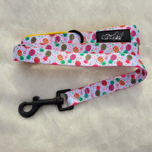 Load image into Gallery viewer, Fine!-Apple Dog Leash - Petponia