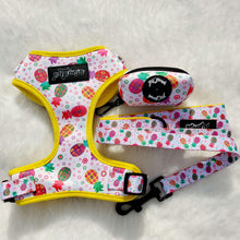 Load image into Gallery viewer, Fine!-Apple Dog Walking Bundle ( Adjustable Harness, Leash & Waste Bag Holder) - Petponia
