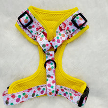Load image into Gallery viewer, Fine!-Apple Adjustable Dog Harness - Petponia