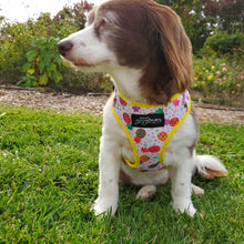 Load image into Gallery viewer, Fine!-Apple Adjustable Dog Harness - Petponia