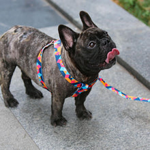 Load image into Gallery viewer, Mighty Dog Harness and Leash Set