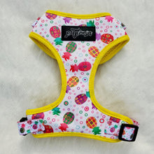 Load image into Gallery viewer, Fine!-Apple Dog Walking Bundle ( Adjustable Harness, Leash & Waste Bag Holder) - Petponia