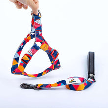 Load image into Gallery viewer, Mighty Dog Harness and Leash Set - Small / Mighty Orange - Medium / Mighty Orange - Large / Mighty Orange