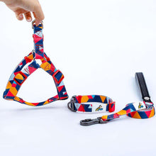 Load image into Gallery viewer, Mighty Dog Collar, Harness and Leash Set - Small / Mighty Orange - Medium / Mighty Orange - Large / Mighty Orange