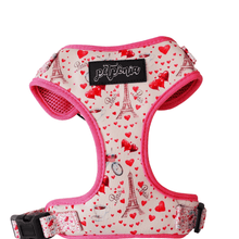 Load image into Gallery viewer, Adjustable Harness - Take Me to Paris - Petponia