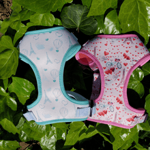 Load image into Gallery viewer, Adjustable Harness - Take Me to Paris - Petponia