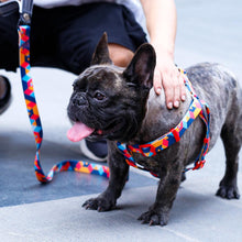 Load image into Gallery viewer, Mighty Dog Harness and Leash Set