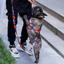 Load image into Gallery viewer, Mighty Dog Leash