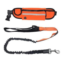 Load image into Gallery viewer, Handsfree Bungee Dog Leash with a Waist Multi-Purpose Bag - Orange