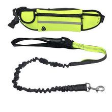 Load image into Gallery viewer, Handsfree Bungee Dog Leash with a Waist Multi-Purpose Bag - Petponia