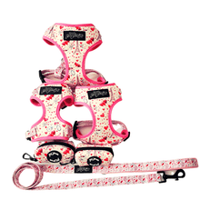 Load image into Gallery viewer, 'Take Me to Paris' Dog Walking Bundle ( Adjustable Harness, Leash & Waste Bag Holder) - Petponia