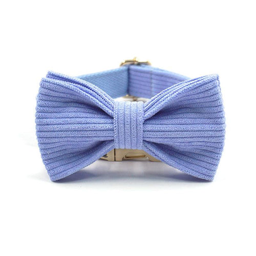 Ocean Blue Corduroy Dog Collar with a Bow - Petponia