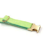 Load image into Gallery viewer, Fresh Lime Green Corduroy Dog Collar with a Bow - Petponia
