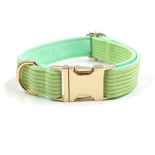 Load image into Gallery viewer, Fresh Lime Green Corduroy Dog Walking Set - Dog Collar, Bow, Leash &amp; Waste Bag Holder - Petponia
