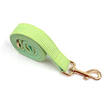Load image into Gallery viewer, Fresh Lime Green Corduroy Dog Walking Set - Dog Collar, Bow, Leash &amp; Waste Bag Holder - Petponia
